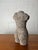Vintage Shell-Encrusted Nude Torso Sculpture, Mid-Century Modern For Sale - Image 9 of 11