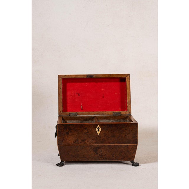 Brown Regency Burl Yew Tea Caddy (C. 1820) For Sale - Image 8 of 10