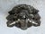 Tribal Vintage 1980s Belt Buckle Pewter Praying Indian Chief Native American Buffalos. For Sale - Image 3 of 9