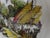Antique Earthenware Serving Dishes by Keller & Guérin for Lunéville, 1890s, Set of 4 For Sale - Image 9 of 14
