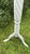 Tall Distressed Wood Claw Foot Painted Pedestal Plant Stand For Sale - Image 10 of 18