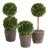 Boxwood Mini Topiary Drop-Ins, Set Of 3 For Sale