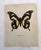 Up for sale is this gorgeous lithograph by F. Prochazka, published in Great Britain in 1965. It is in excellent, gently-...