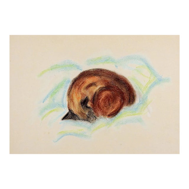 1960s Sleeping Siamese Cat Pastel Drawing For Sale
