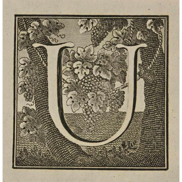 Letter of the Alphabet U, from the series "Antiquities of Herculaneum", is an etching on paper realized by Luigi...