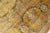 1990s Art Nouveau 1990's Pak-Persian Gold/Green Wool Rug - 6'0'' X 8'7'' For Sale - Image 5 of 9