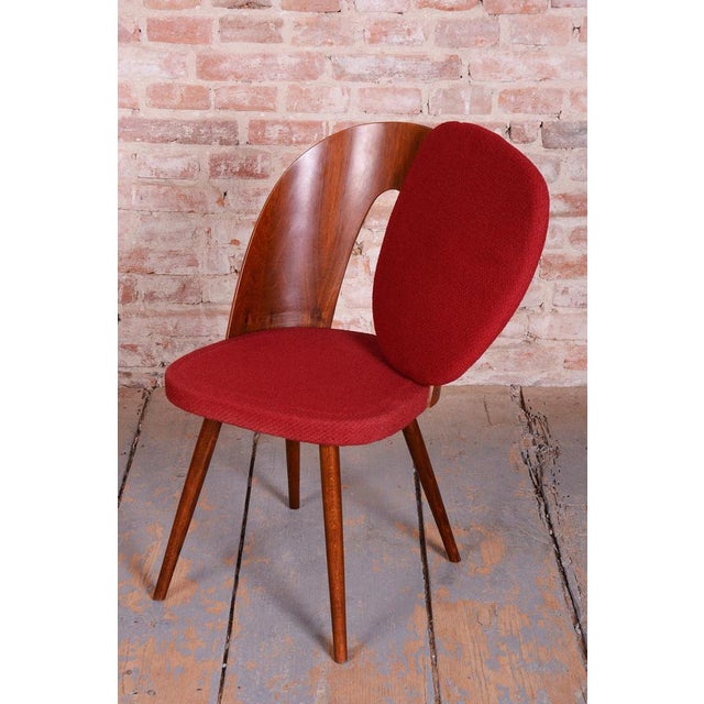 Mid-Century Walnut Chairs from Antonín Šuman, Czech, 1950s, Set of 4 For Sale - Image 9 of 18