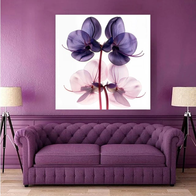 A color photograph of a blue and purple translucent orchids. Printed on 300gsm Archival Fine Art Paper.