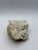 Natural White Quartz Crystal Cluster Mineral Specimen For Sale - Image 4 of 5