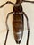 Art Deco Large Japanese Articulate Bronze Praying Mantis Jizai Yasunosuke Ryubundo VI For Sale - Image 3 of 14