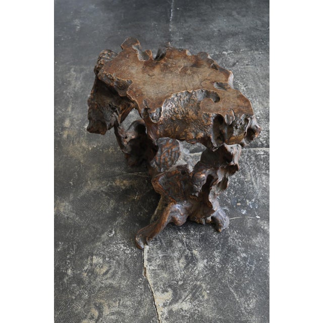 Japanese Antique Japanese Burl Wood Display Stand / Meiji-Showa / Organic One-of-a-Kind For Sale - Image 3 of 18
