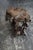 Japanese Antique Japanese Burl Wood Display Stand / Meiji-Showa / Organic One-of-a-Kind For Sale - Image 3 of 18