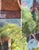 Wood Framed European Village Landscape Watercolor, Signed Florence Strauss For Sale - Image 7 of 13