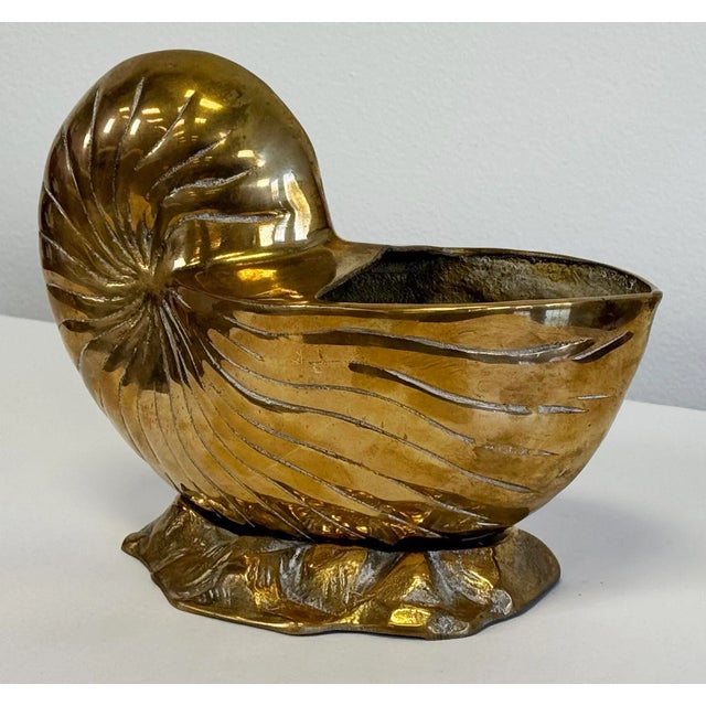 Large vintage brass nautilus seashell planter or vase. Great design detail and patina. Alternative use as a bottle chiller...