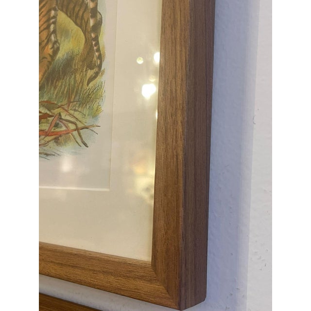 1920s Antique Lion Botanical Print in Wood Frame For Sale - Image 5 of 7