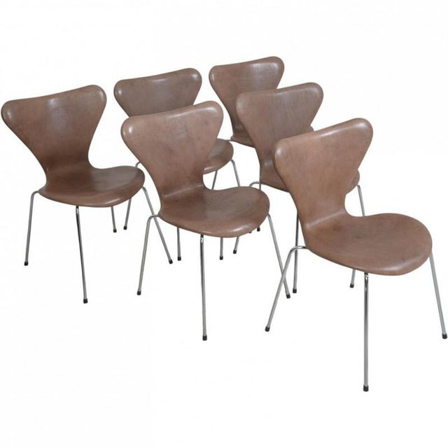 Set of 6 Arne Jacobsen Seven chairs upholstered in brown anilin leather with a chrome frame. The chairs are from the 1990s...
