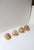 Seashells Natural, Set of 4 For Sale - Image 4 of 10