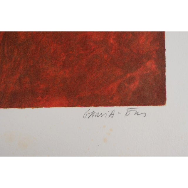 Pierre Garcia-Fons, Amaryllis, Lithograph For Sale - Image 5 of 7