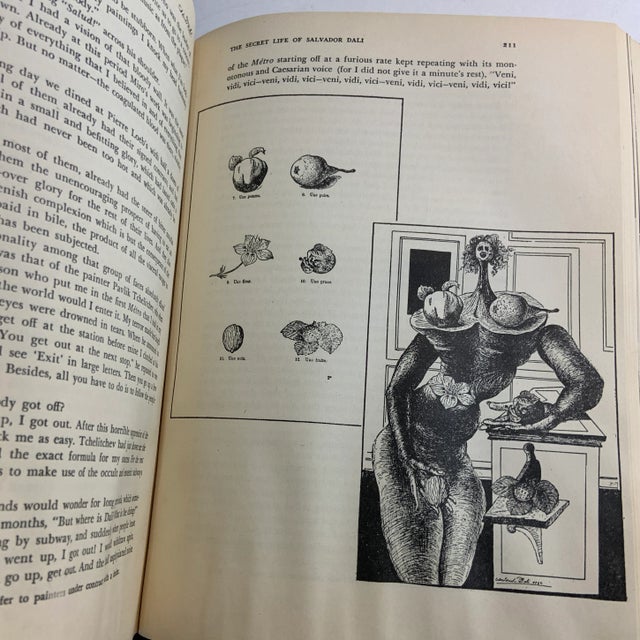 1948 The Secret Life of Salvador Dali Book For Sale - Image 12 of 13