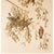 John James Audubon 1966 Vintage Farmhouse Cottage Print "Red Crossbill" After John James Audubon For Sale - Image 4 of 7