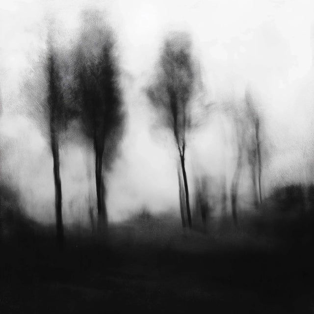 Abstract Blurred Landscape No. 1 - Framed Original Black and White Photography For Sale - Image 3 of 7