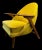 Wingman Armchair by Arne Hovmand Olsen, 1960s For Sale - Image 4 of 10