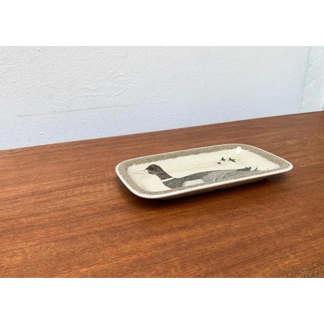 Vintage German Ceramic Bird Plate from Thomas For Sale - Image 17 of 18