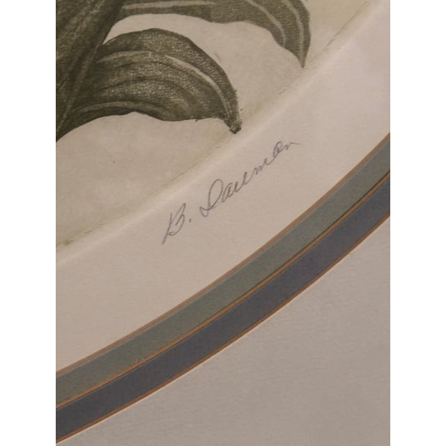American 1980s Country Cottage Core "Tulips II”Signed Lithograph by Barbara Dauman For Sale - Image 3 of 4