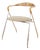 HE-103 Saffa Chair by Hans Eichenberger for Dietitians, 1955 For Sale