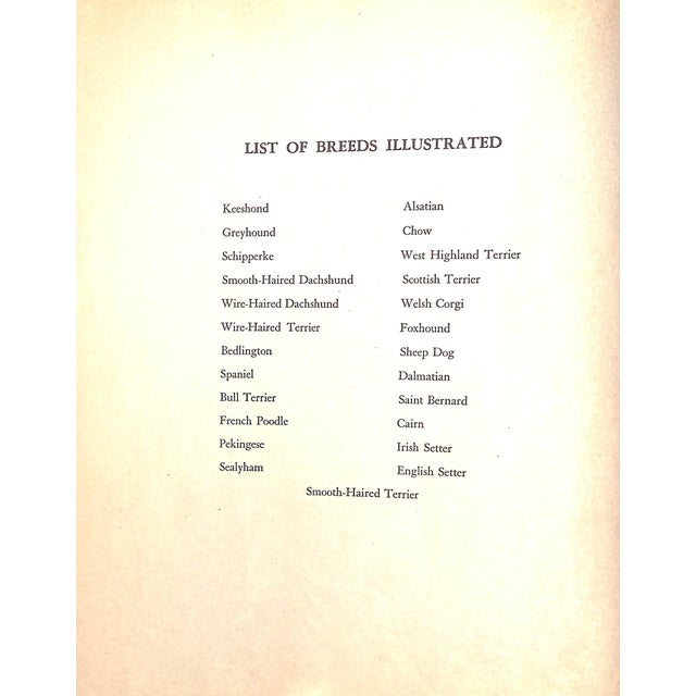 Paper "Dogs Rough and Smooth" Book 1973 Dawson, Lucy For Sale - Image 7 of 12