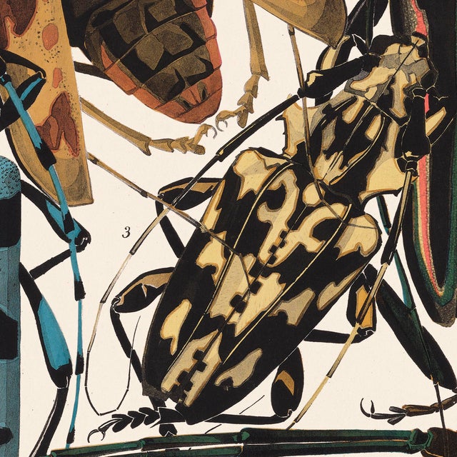 Contemporary Insects Plate 3 Giclee Reproduction Art Print After Emile Allain Séguy For Sale - Image 3 of 4