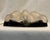 1980s 1980s Palm Beach Regency René Lalique Art Deco Style Frosted Glass Clamshell Sconce - For Sale - Image 5 of 11