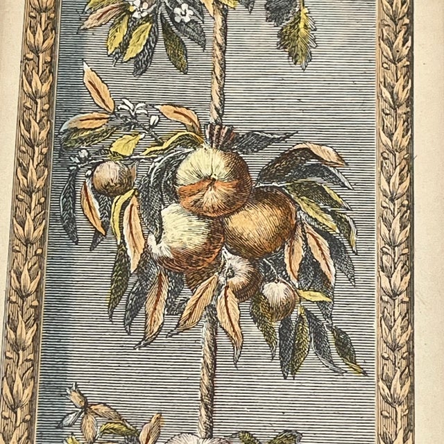 Vintage Hand Colored Engraving Old World European Fruit Swag For Sale - Image 11 of 18