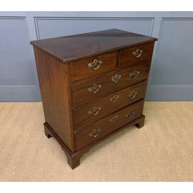 Georgian Mahogany Chest of Drawers, 1800 For Sale - Image 11 of 14