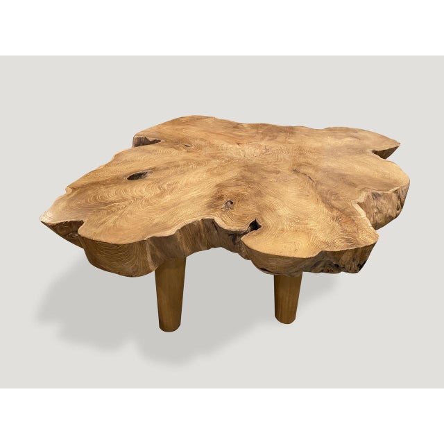 Impressive three inch single slab live edge teak wood made into a coffee table set on minimalist mid century style legs....