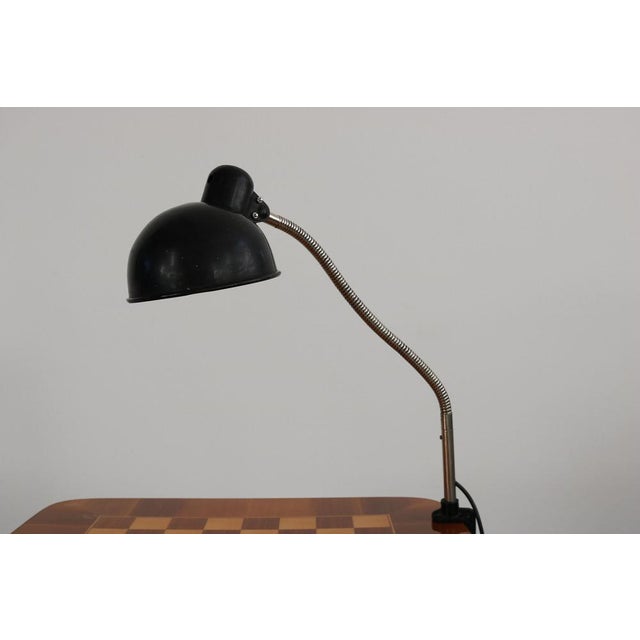 Vintage Desk Clamping Lamp with Swan Neck attributed to Christian Dell for Emperor Idell. Germany 1930 For Sale - Image 14 of 14