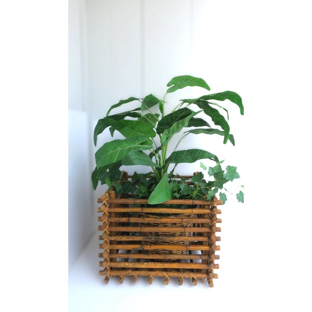Boho Chic Rattan Plant or Tree Cachepot For Sale - Image 3 of 8