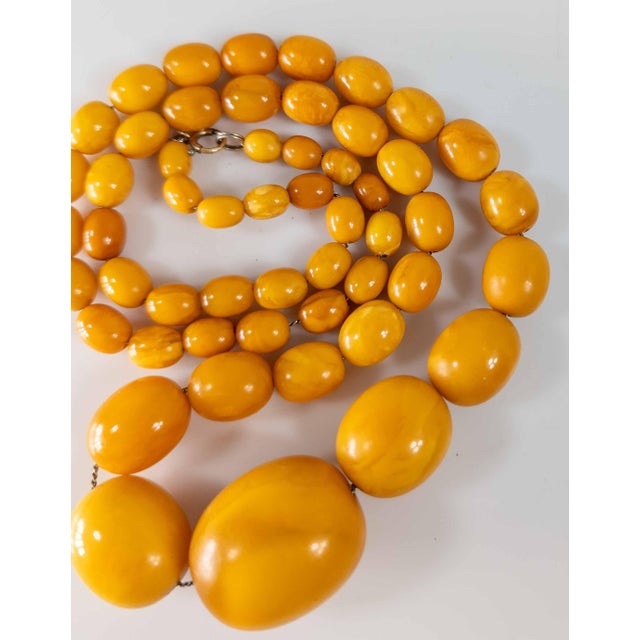 Gemstone 20th Century Butterscotch Egg Yolk Baltic Amber Bead Necklace For Sale - Image 7 of 12