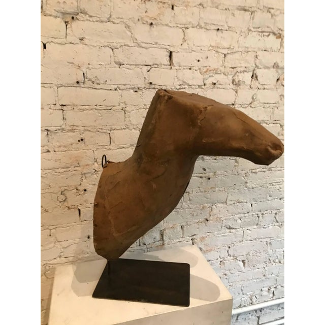 Early 20th Century Taxidermy Mold Horse Head For Sale - Image 10 of 11