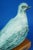 Ceramic Dove Sculpture with Wooden Base by Giuseppe Rossicone, Italy, 1970s For Sale - Image 17 of 18