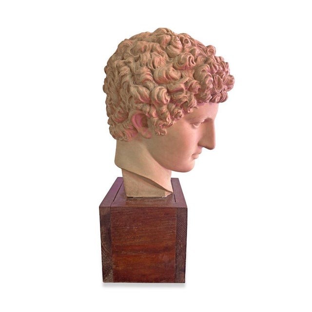 Classical Roman Terracotta Bust For Sale - Image 4 of 7