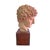 Classical Roman Terracotta Bust For Sale - Image 4 of 7