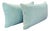 Pair of Indoor/Outdoor Aqua Lumbar Pillows With White Contrast Welt For Sale