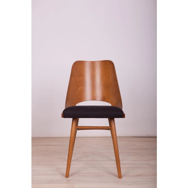 1960s Model Lollipop Dining Chairs from Tatra, 1960s, Set of 4 For Sale - Image 5 of 18
