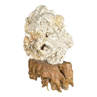 Calcite Concretion on Teak Root Base For Sale