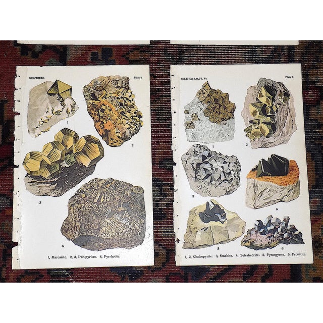 1910s Antique 1916 Mineral Lithographs - Set of 12 For Sale - Image 5 of 8
