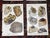 1910s Authentic Antique 1916 Mineral Lithographs - Set of 12 For Sale - Image 5 of 8