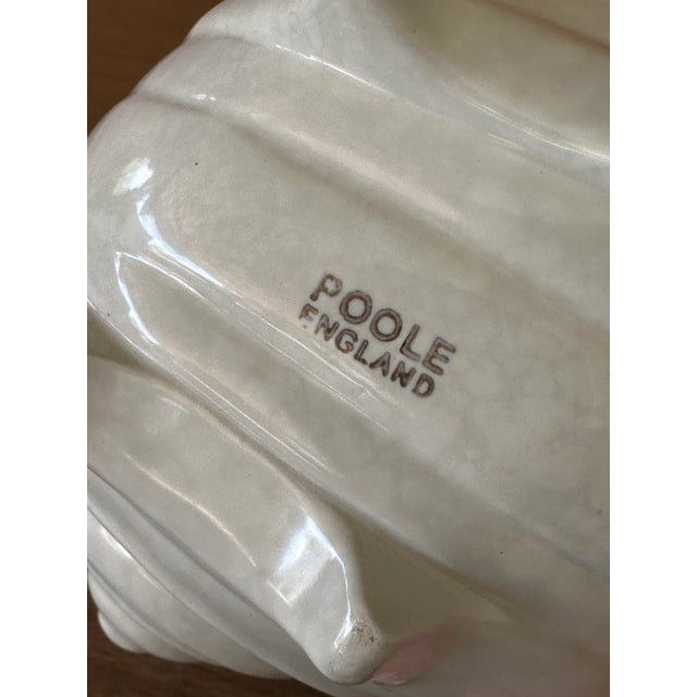 Off-white Poole of England Winkle Shell Pottery Decorative Accent Piece For Sale - Image 8 of 8