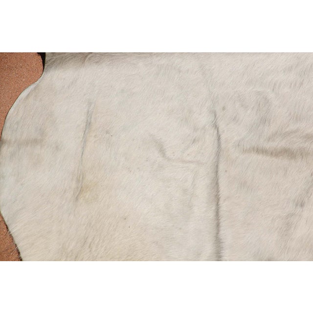 Hand-Crafted White Cowhide Rug from Argentina, Folk Art Style, 1980 For Sale - Image 14 of 18
