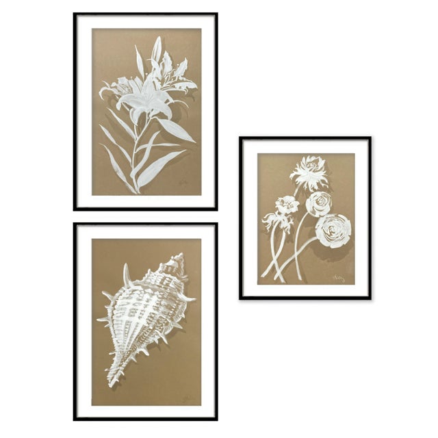 Original gouache painting on Stonehenge paper of Murex Shell. Second and third photos show ideas for framing and similar...